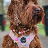 Step-In Harness - Houndstooth Blush- Step-In Hondentuigje