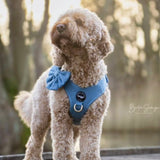Step-In Harness - Denim - Step-In Hondentuigje - Denim Jeans
