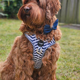 Step-In Harness - Marine- Step-In Hondentuigje