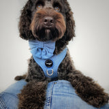 Step-In Harness - Denim - Step-In Hondentuigje - Denim Jeans