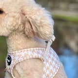 Step-In Harness - Houndstooth Beige- Step-In Hondentuigje