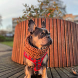 Harness - Tartan Woof Collection