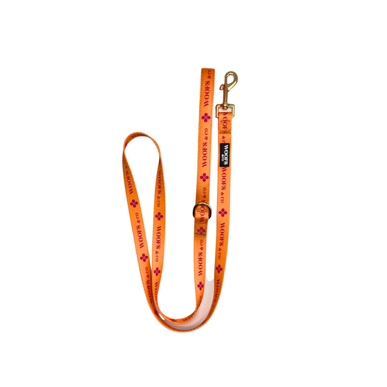 Leash - Clover Orange - Gold Edition