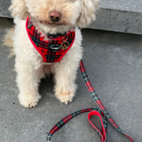 Leash - Tartan Red Woof Collection - Hondenlijn