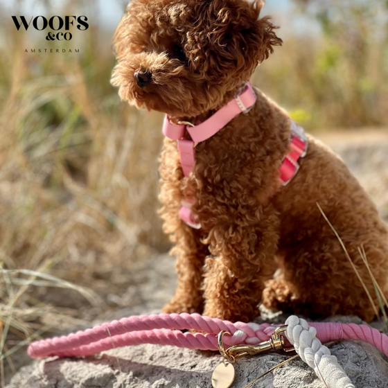Woofs & Co Dog Accessories: dog ropes and leashes