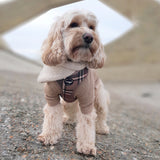 Harness - Tartan Tan Beige Woof Collection