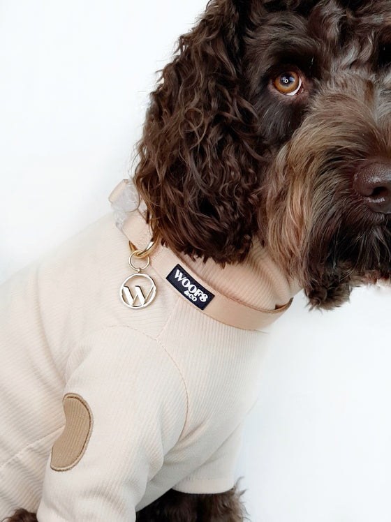 Woofs & Co collar with tag