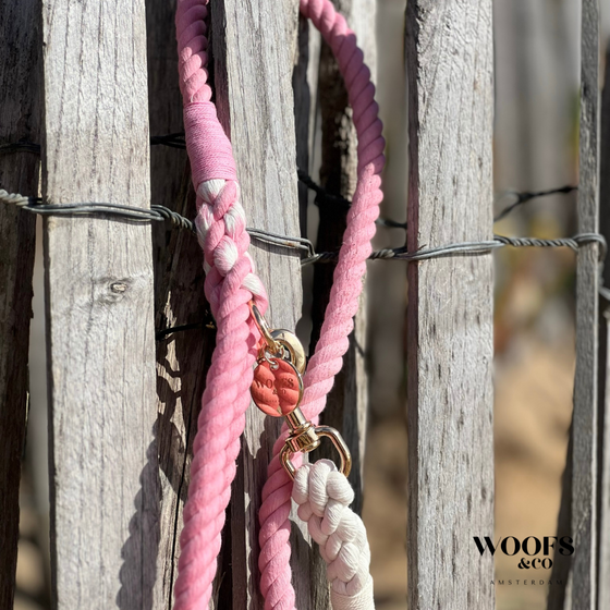 Dog Rope Leash: Ombre Blush Pink