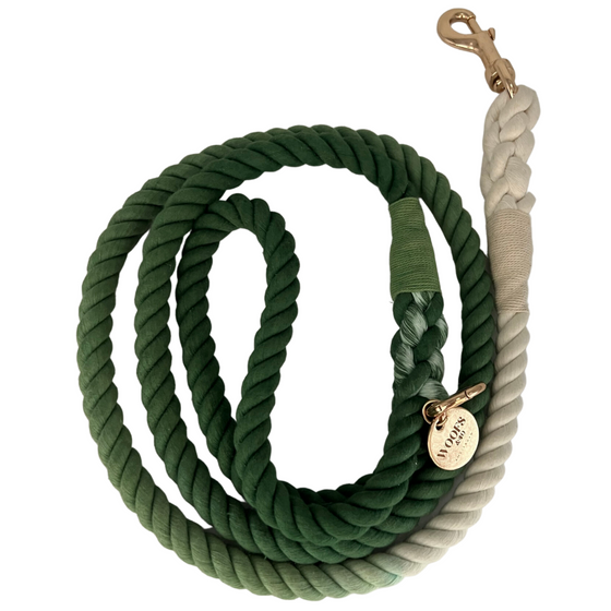 Rope Leash - Green