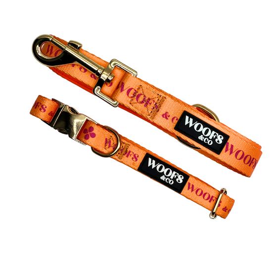 Leash - Clover Orange - Gold Edition