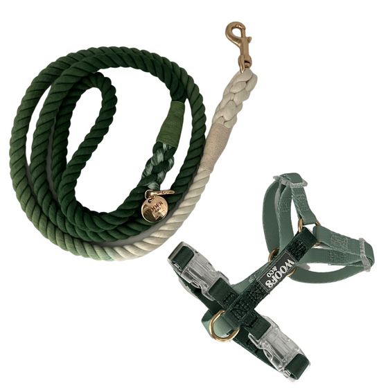 Rope Leash - Green