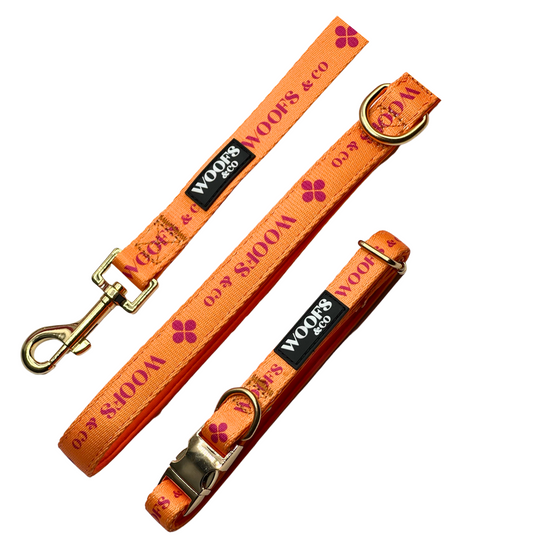 Leash - Clover Orange - Gold Edition