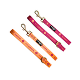 Leash - Clover Orange - Gold Edition