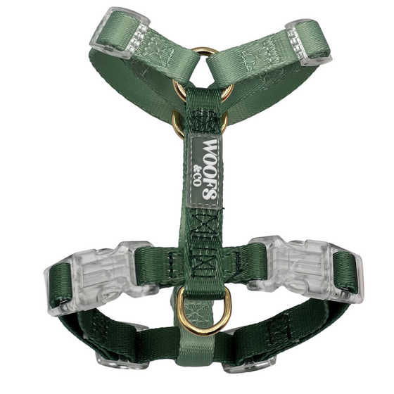 Harness Duo Color - Green