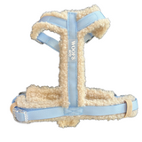 Harness Teddy Collection- Blue