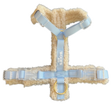 Harness Teddy Collection- Blue