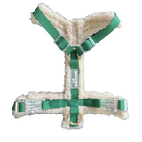 Harness Teddy Collection-  Green