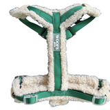 Harness Teddy Collection-  Green