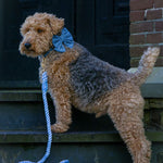 Woofs & Co Blue Rope Leash