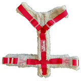 Harness Teddy Collection- Red