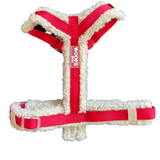 Harness Teddy Collection- Red