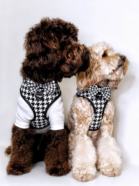 Harness - Houndstooth Black Edition - Hondentuigje