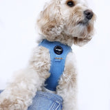 Step-In Harness - Denim - Step-In Hondentuigje - Denim Jeans