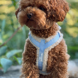 Maat XXS tuigje Teddy Collectie