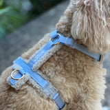 Teddy Collection Woofs & Co