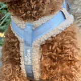 Harness Teddy Collection- Blue