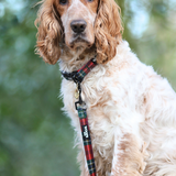 Leash - Tartan Red Woof Collection - Hondenlijn