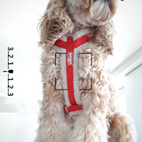 Harness Teddy Collection- Red
