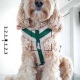 Harness Teddy Collection-  Green