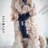 Harness Teddy Collection- Charcoal Grey