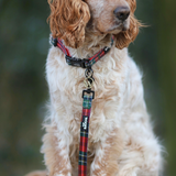 Collar - Tartan Red Woof Collection - Halsband Tartan