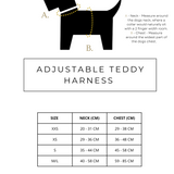 Harness Teddy Collection- Blue