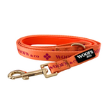 Leash - Clover Orange - Gold Edition