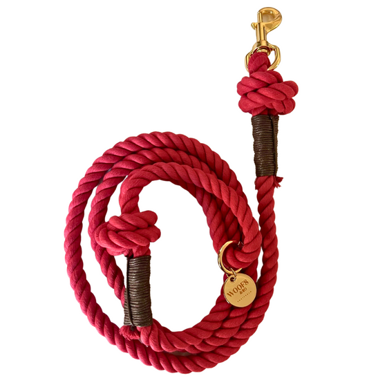 Red Dog Rope Leash