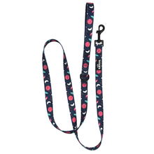  Leash - Space Collection
