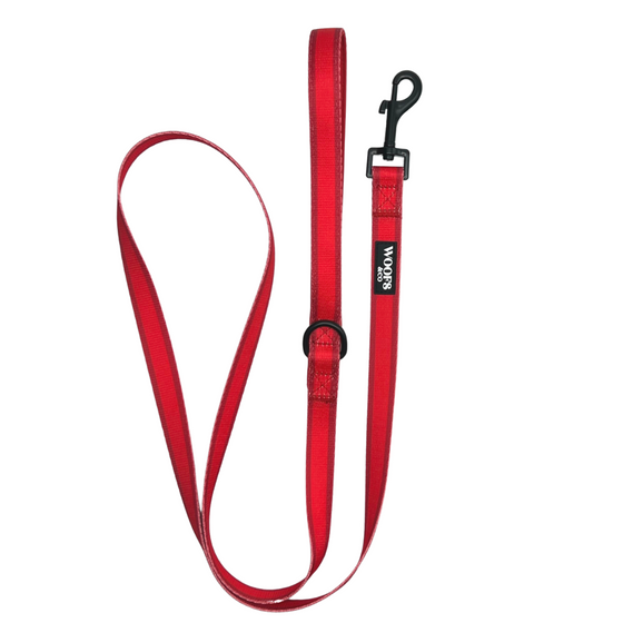 Leash - Clover Red Collection