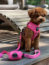 Harness - Clover Pink Collection