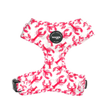 Harness - Crazy Lobster Collection