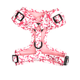 Harness - Crazy Lobster Collection