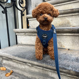 Harness - Denim Collection