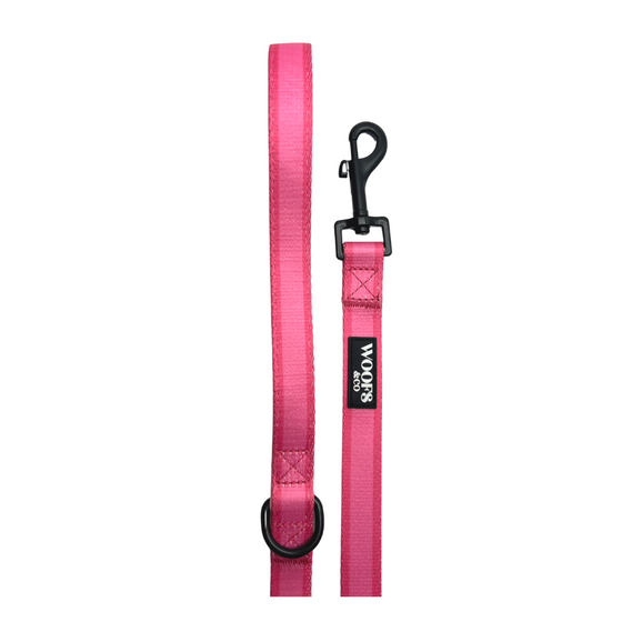 Leash - Clover Pink Collection