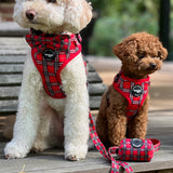 Harness - Tartan Woof Collection
