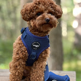 Harness - Denim Collection