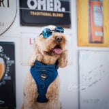Harness - Denim Collection